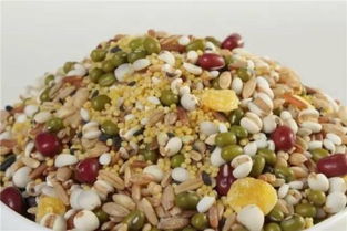 五谷杂粮 被忽视的养生宝藏