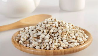 五谷杂粮养生指南 巧搭配，吃出健康来